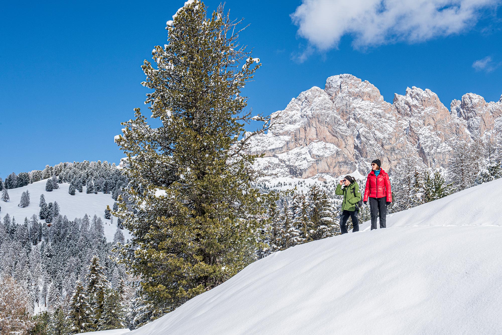 Val Gardena Winter 5